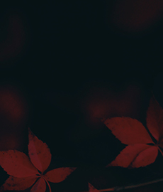 L'autunno e le sue gioie 