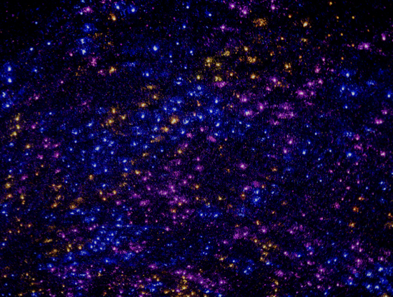 Compatibilità dei segni zodiacali nel 2025: cosa porta il nuovo anno?