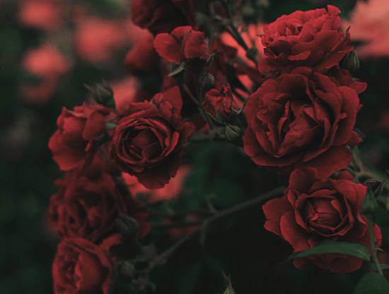 Perchè ci sono dei momenti in cui vi sentite più sexy ? 