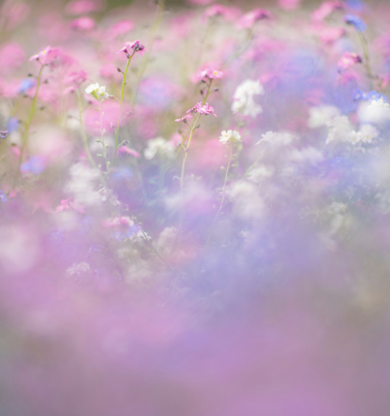 Quando insistere e quando voltare pagina?