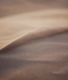 Dal match al caffè: 7 passi per un appuntamento riuscito