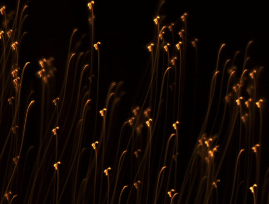 Come affrontare la solitudine affettiva durante le feste di fine anno