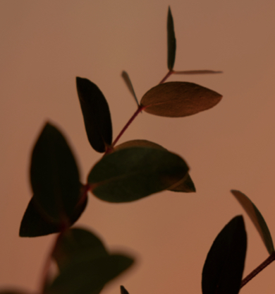 Come superare una crisi nella relazione?