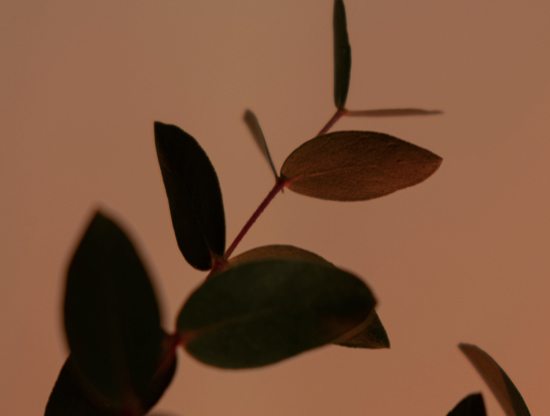 Come superare una crisi nella relazione?