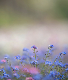 Come iniziare l’anno con più amore (senza essere in una relazione)