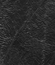 Quando il desiderio scompare: come affrontare la mancanza di libido nella relazione