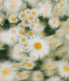 Come la primavera cambia la nostra chimica romantica