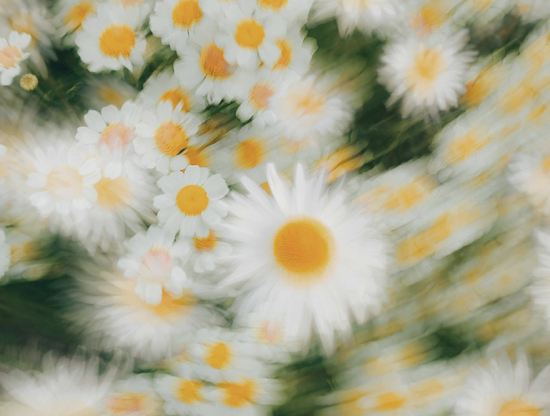 Come la primavera cambia la nostra chimica romantica