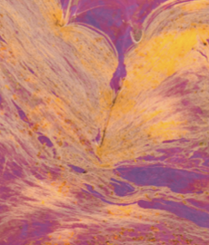 Perché la chimica non nasce sempre subito?