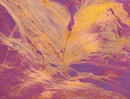 Perché la chimica non nasce sempre subito?