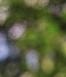 Soft launching: quando lo stato della relazione cambia in silenzio